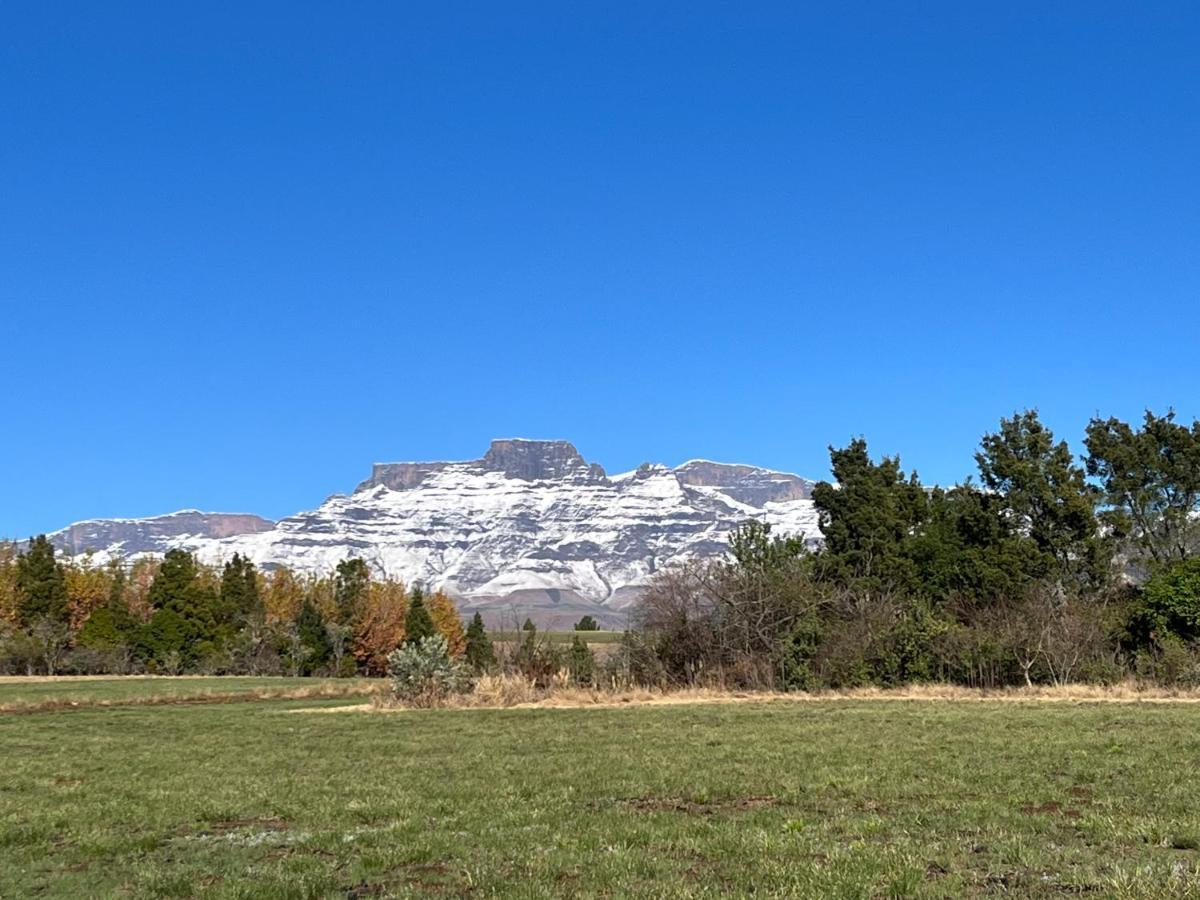 Drakensberg Inkosana Lodge Champagne Valley Εξωτερικό φωτογραφία