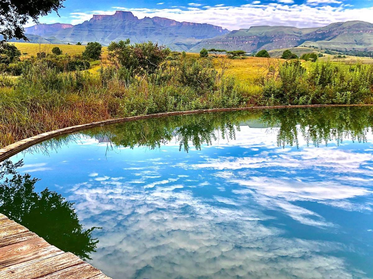 Drakensberg Inkosana Lodge Champagne Valley Εξωτερικό φωτογραφία