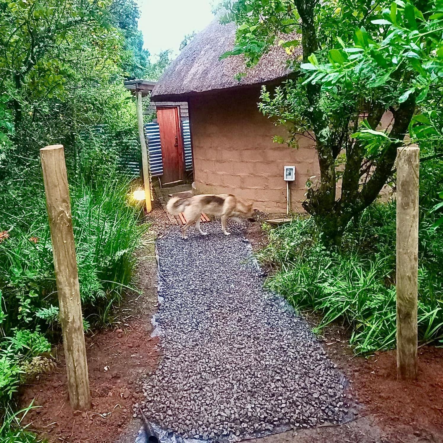 Drakensberg Inkosana Lodge Champagne Valley Εξωτερικό φωτογραφία