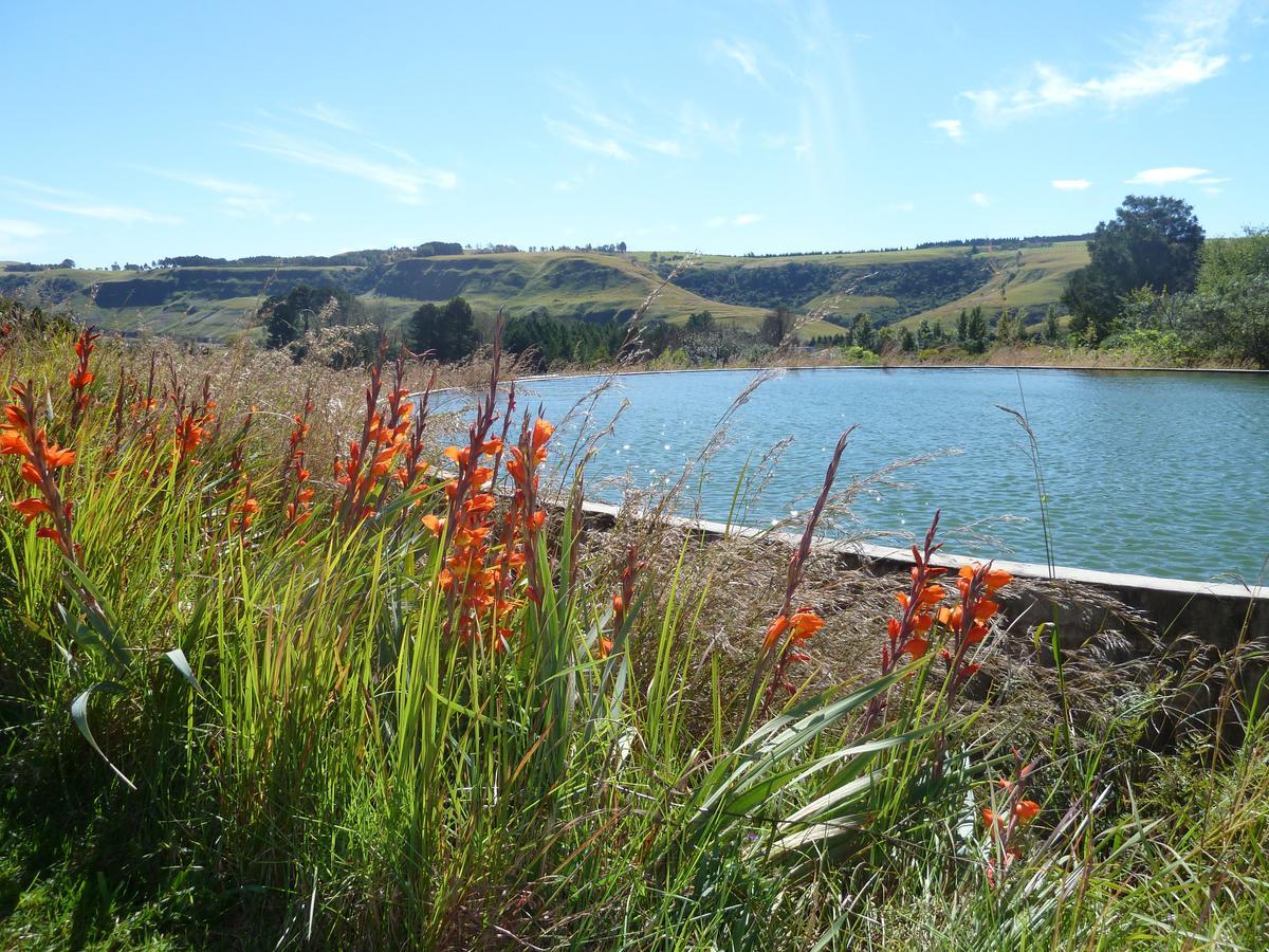 Drakensberg Inkosana Lodge Champagne Valley Εξωτερικό φωτογραφία