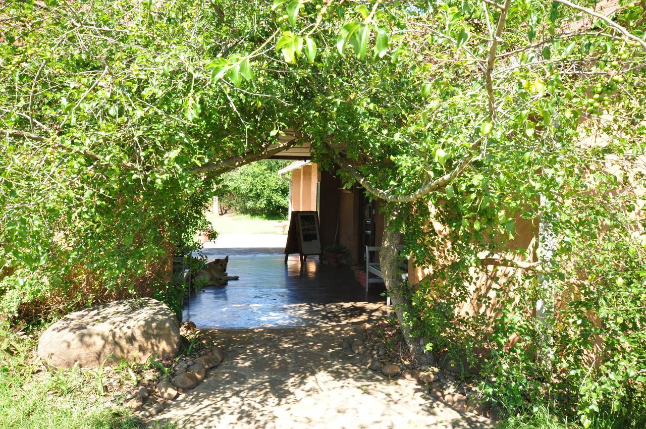 Drakensberg Inkosana Lodge Champagne Valley Εξωτερικό φωτογραφία