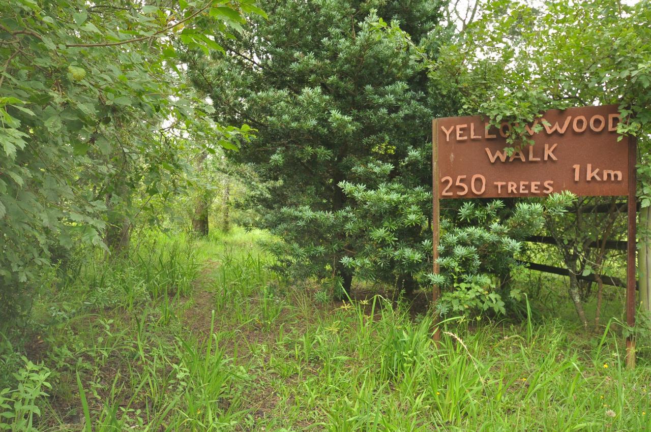 Drakensberg Inkosana Lodge Champagne Valley Εξωτερικό φωτογραφία