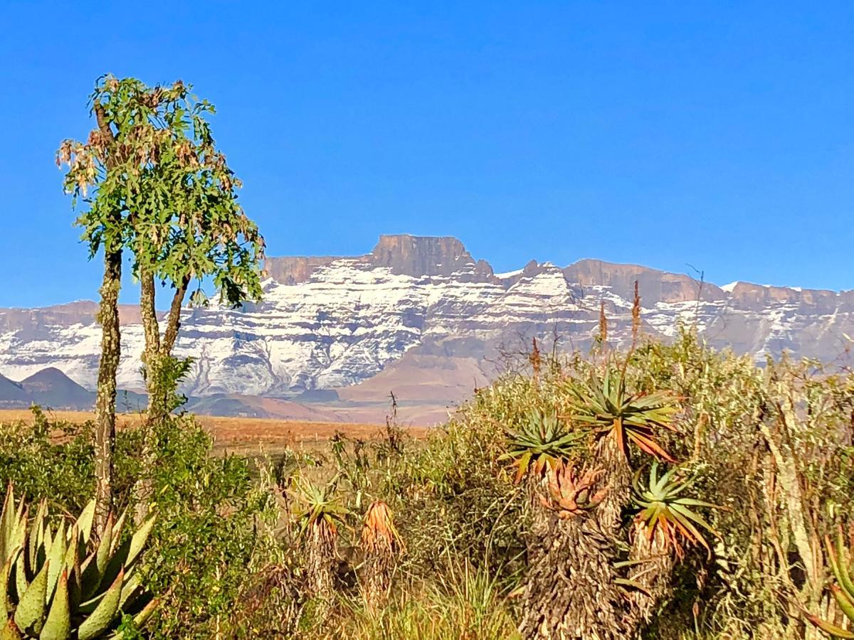 Drakensberg Inkosana Lodge Champagne Valley Εξωτερικό φωτογραφία