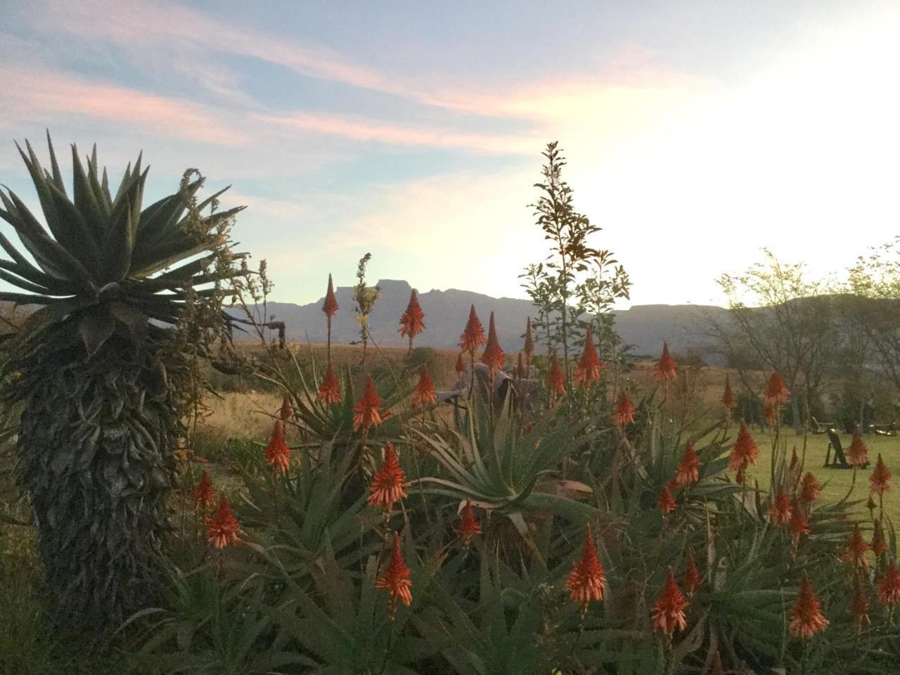 Drakensberg Inkosana Lodge Champagne Valley Εξωτερικό φωτογραφία